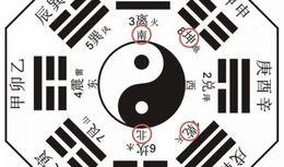 今日娱乐爆料八卦图最新,揭秘今日八卦图背后的惊人真相！